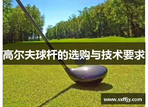 高尔夫球杆的选购与技术要求
